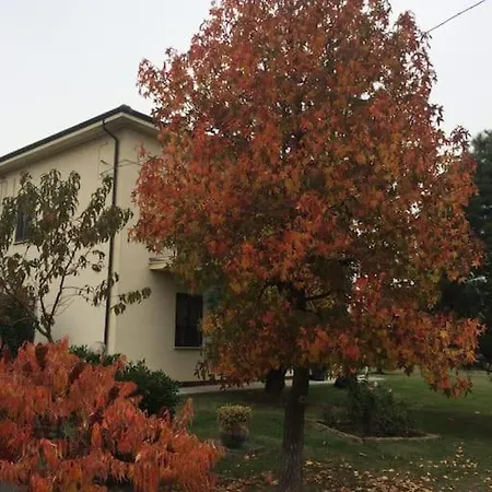 Apartment La Casa Dei Gelsi