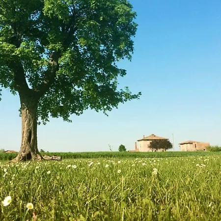 La Casa Dei Gelsi