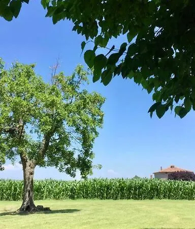Διαμέρισμα La Casa Dei Gelsi *